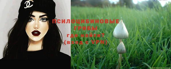 прущие крисы Баксан