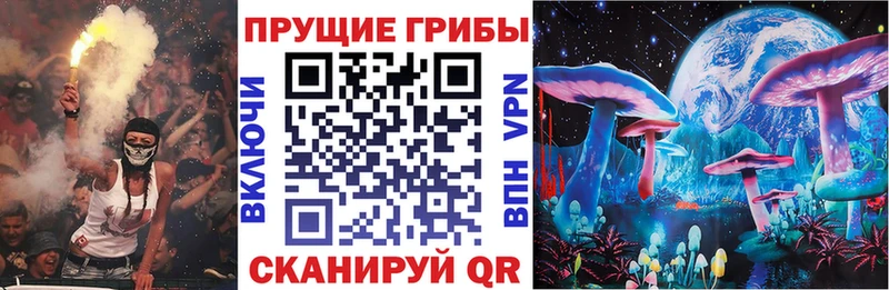 даркнет клад  что такое наркотик  Красково  Галлюциногенные грибы GOLDEN TEACHER 