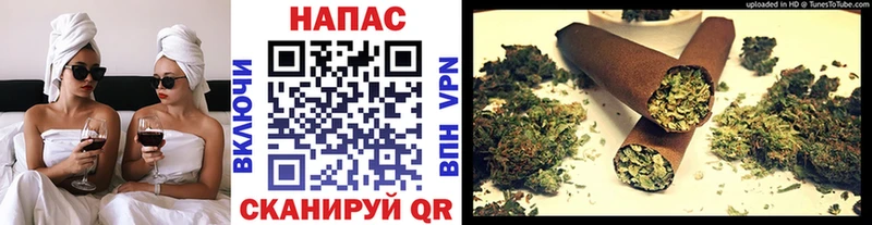 МАРИХУАНА сатива Красково