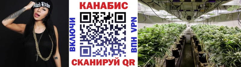 закладка  Красково  Бошки марихуана семена 